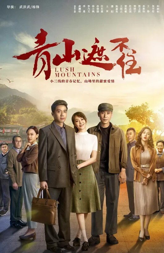 20205994050用户上传超美的OL从下班吃饭抄底到下地铁回家 - 布布影视